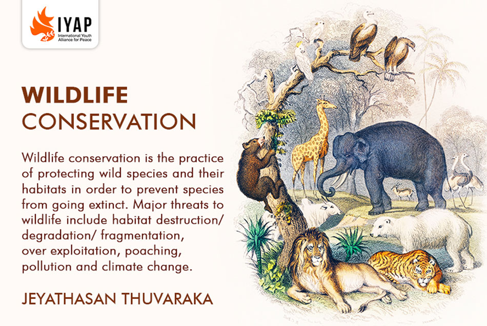 WILDLIFE CONSERVATION - IYAP - International Youth Alliance for Peace