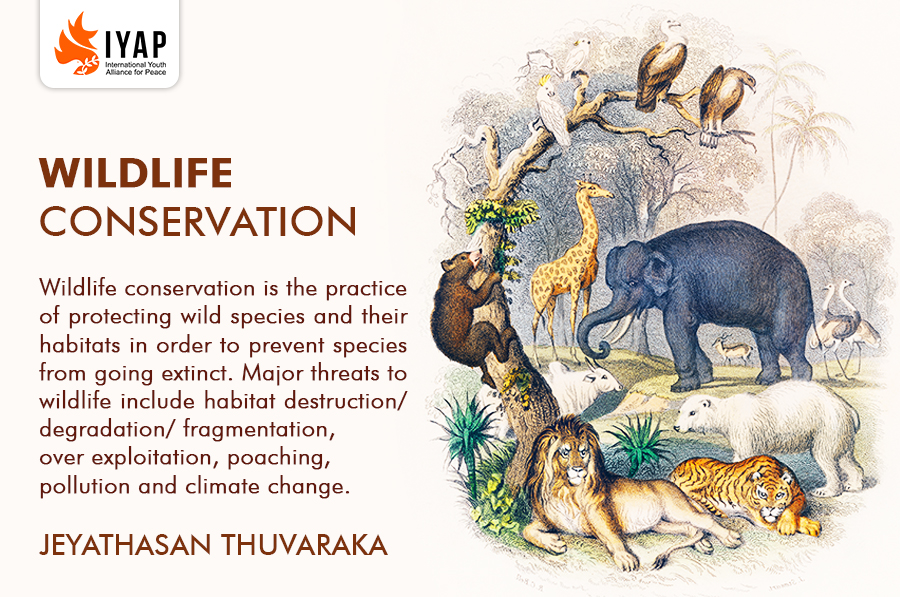 WILDLIFE CONSERVATION - IYAP - International Youth Alliance for Peace